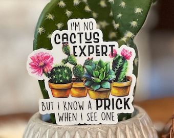 Funny Cactus Sticker: I'm No Expert, But I Know A Prick
