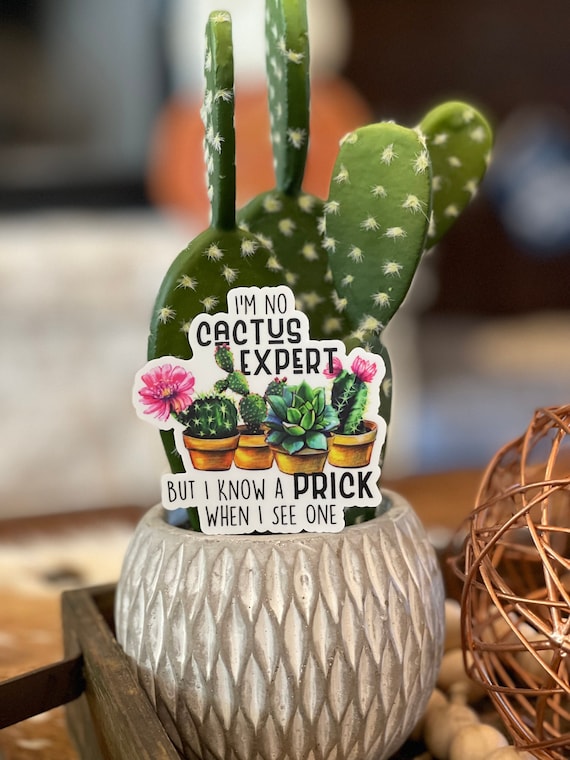 Funny Cactus Sticker: I'm No Expert, But I Know A Prick