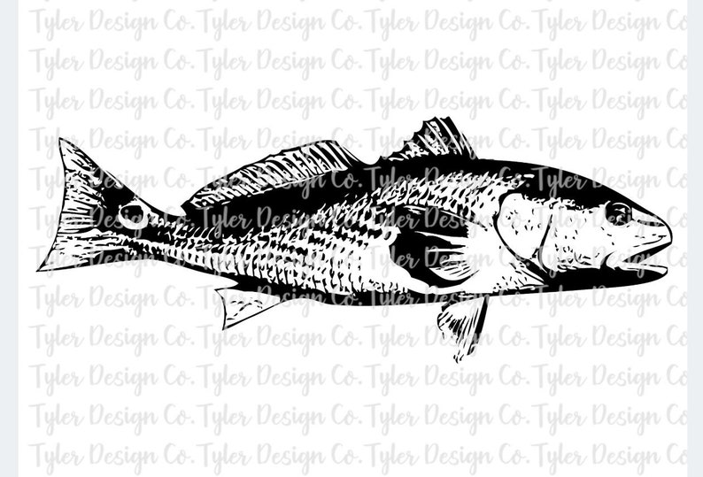 Download Redfish Reddrum Saltwater Fishing Silhouette Nature ...