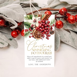 Op de afbeelding: Een kerst-simmers-potpourri-cadeauetiket met een aquarel-illustratie van kaneelstokjes, bessen en citrusvruchten. Het etiket luidt "Christmas Simmering Potpourri" en bevat instructies voor gebruik. Het etiket is ondertekend met "Love, The Andersons".