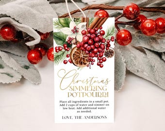 Op de afbeelding: Een kerst-simmers-potpourri-cadeauetiket met een aquarel-illustratie van kaneelstokjes, bessen en citrusvruchten. Het etiket luidt "Christmas Simmering Potpourri" en bevat instructies voor gebruik. Het etiket is ondertekend met "Love, The Andersons".