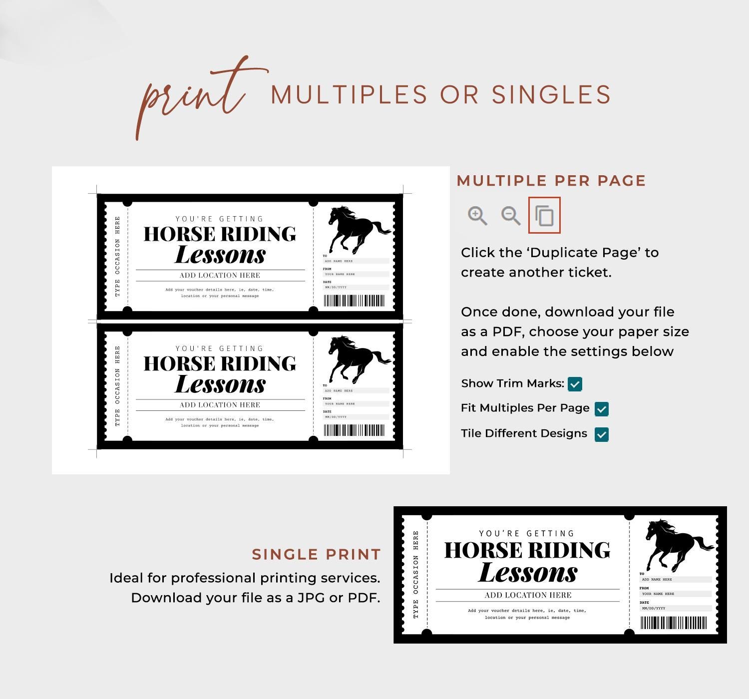 Horse Riding Lesson Certificate EDITABLE, Horseback Riding Gift Voucher ...