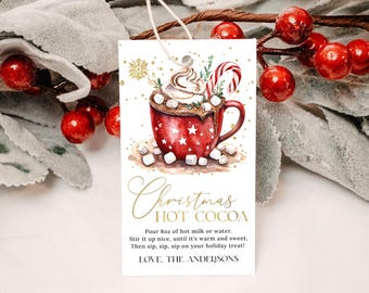 May include: A white gift tag with a watercolor illustration of a red mug filled with hot chocolate, marshmallows, and a candy cane. The text reads "Christmas Hot Cocoa" and includes instructions for making the drink. The tag is signed "Love, The Andersons".