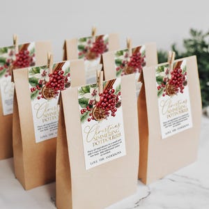 Christmas Simmering Potpourri Gift Tag EDITABLE, Holiday Potpourri Tag, Printable Christmas Favor Tags, Holiday Stovetop Potpourri Tags