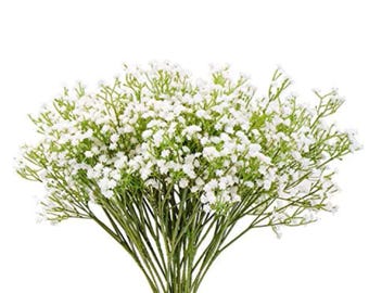 May include: A bundle of white baby's breath flowers with green stems and leaves. The delicate, small white flowers are clustered together, creating a full and textured appearance. The stems are long and slender.