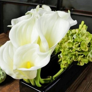 May include: A bouquet of white calla lilies arranged in a black vase with green hydrangeas.