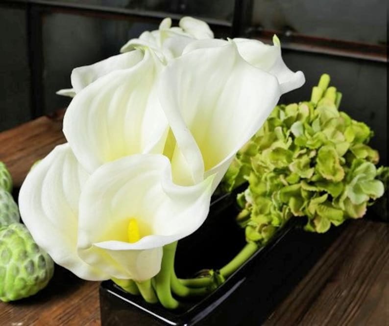 May include: A bouquet of white calla lilies arranged in a black vase with green hydrangeas.