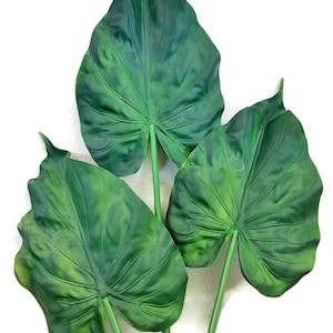 Real Touch Latex Artificial Giant Taro Elephant&#39;s Ear Leaf Greenery Topiary Plant (Alocasia Macrorrhizos) (Pack of 3) (24&quot; Small)