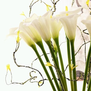 May include: A bouquet of white calla lilies with green stems and yellow accents arranged with brown curly vines.