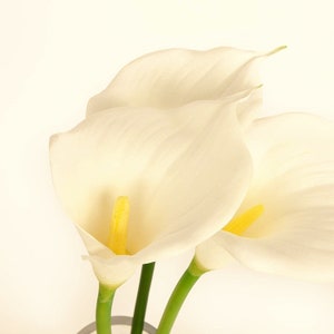 May include: Three white calla lilies with yellow centres, arranged in a vase. The lilies are in focus, while the background is blurred.