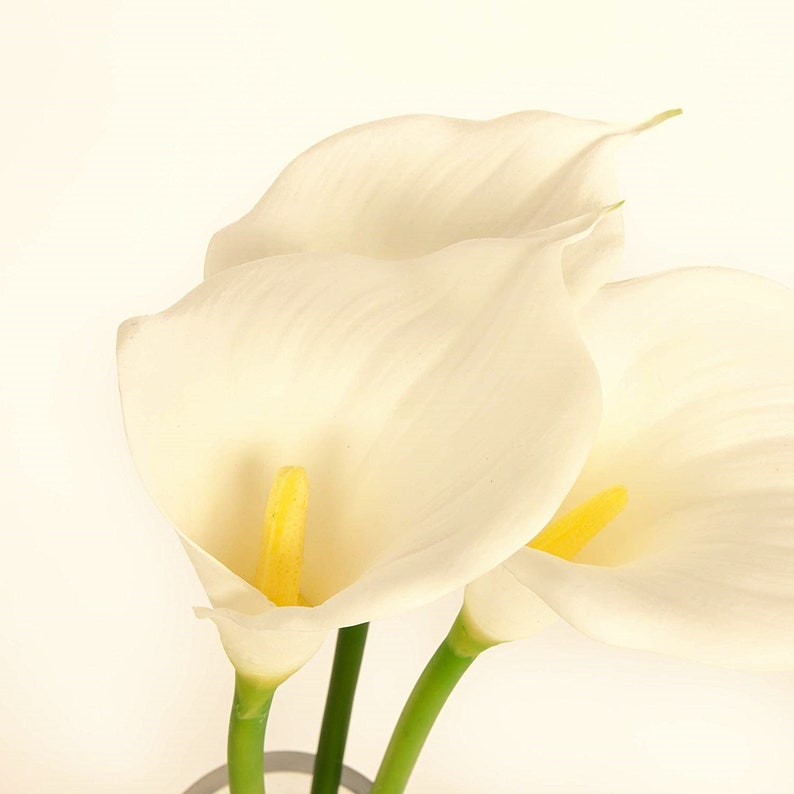 May include: Three white calla lilies with yellow centres, arranged in a vase. The lilies are in focus, while the background is blurred.