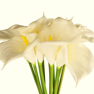 May include: A bouquet of white calla lilies with yellow centres and green stems.