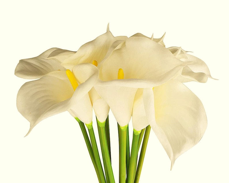 May include: A bouquet of white calla lilies with yellow centres and green stems.