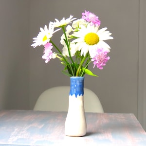 May include: A bouquet of white daisies and pink flowers in a white ceramic vase with a blue rim.
