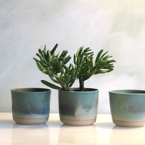 May include: Three teal ceramic planters with a light brown rim. The centre planter has a small green succulent plant growing in it.
