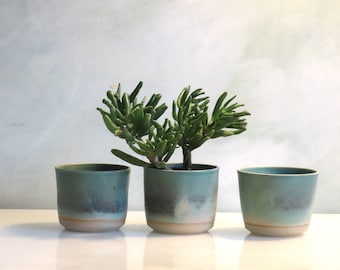 Set of 3 hand thrown stoneware plant pot holders ideal for small succulents. Fit a plastic pot of 7cm tall x 9cm wide. Made in Scotland.