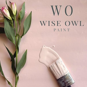 Daydream OHE Caribbean Crush | Wise Owl Paint | One Hour Enamel | Furniture Paint | New!