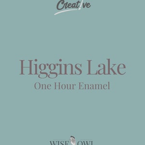 Higgins Lake OHE | Wise Owl Paint | One Hour Enamel | Cabinet and Furniture Paint | Free Shipping