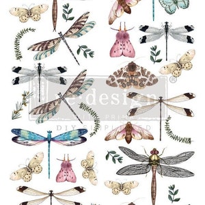 May include: A collection of watercolor illustrations featuring dragonflies, butterflies, and moths in various colors. The designs include detailed wing patterns and botanical elements, with the text "DIY SIMPLY PRIMA".