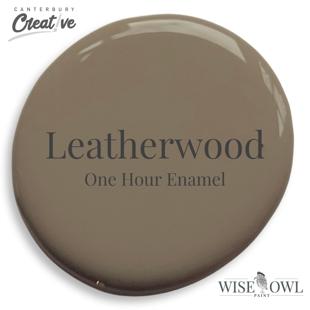 Leatherwood OHE One Hour Enamel Wise Owl Paint, Furniture &