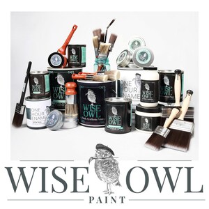 May include: A collection of Wise Owl paint products, including chalk synthesis paint, one-hour enamel, and primer. The paint cans are arranged on a white surface with paintbrushes and other painting supplies.