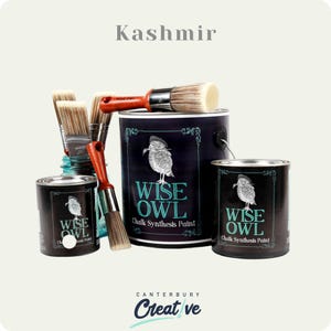 Kashmir Chalk Synthesis Paint - Pint Size - Paint for Furniture, Cabinet Paint, Wise Owl Paint