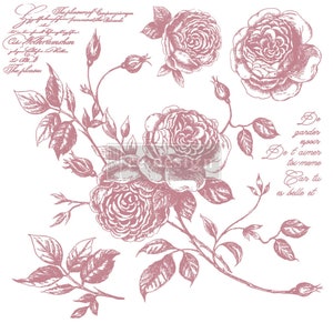 May include: A vintage style illustration of pink roses with leaves and stems. The text "De garder espoir De t'aimer toi-meme Car tu es belle et" is written in cursive.