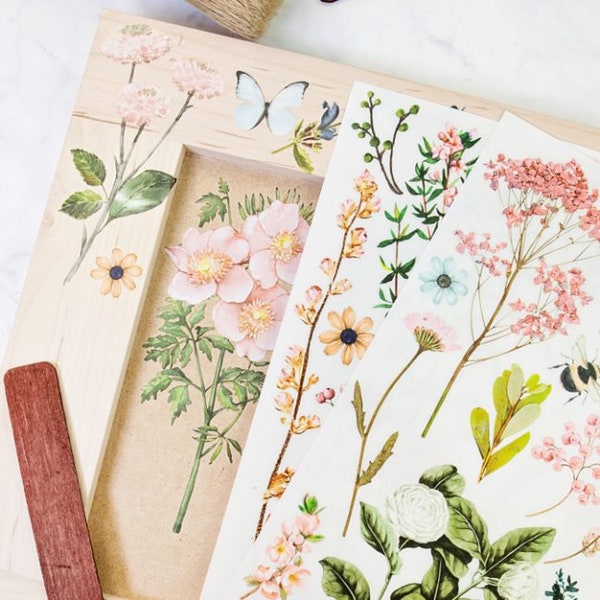 Décor Transfert Les graines vintage redessent avec prima - Atelier