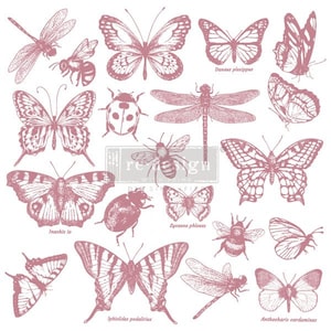 Monarch Collection - Clearly Aligned Decor Stamps - ReDesign with Prima - Furniture Stamp - Stamp for Crafts