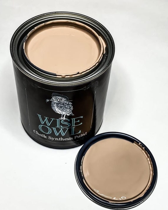 Wise Owl Chalk Synthesis Paint 1987 Stamping Craft Supplies & Tools Papercraft