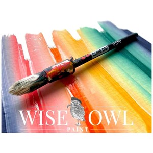 May include: A paintbrush with a black handle and white bristles is lying on a rainbow-colored background. The handle has the text "CLING ON! PS10" printed on it. The background is a series of colorful stripes in shades of blue, purple, pink, orange, yellow, and green. The text "WISE OWL PAINT" is printed below the paintbrush.