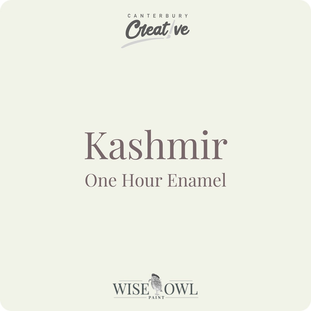 Kashmir OHE Free Shipping Wise Owl Paint One Hour Enamel Furniture kashmir-ohe-free-shipping-wise-owl-paint-one-hour-enamel-furniture