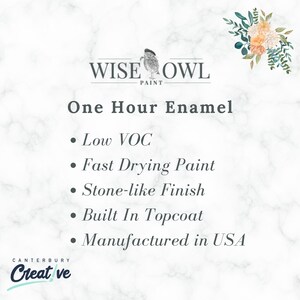 May include: Wise Owl One Hour Enamel paint features low VOC, fast drying time, a stone-like finish, and a built-in topcoat.  The paint is manufactured in the USA.