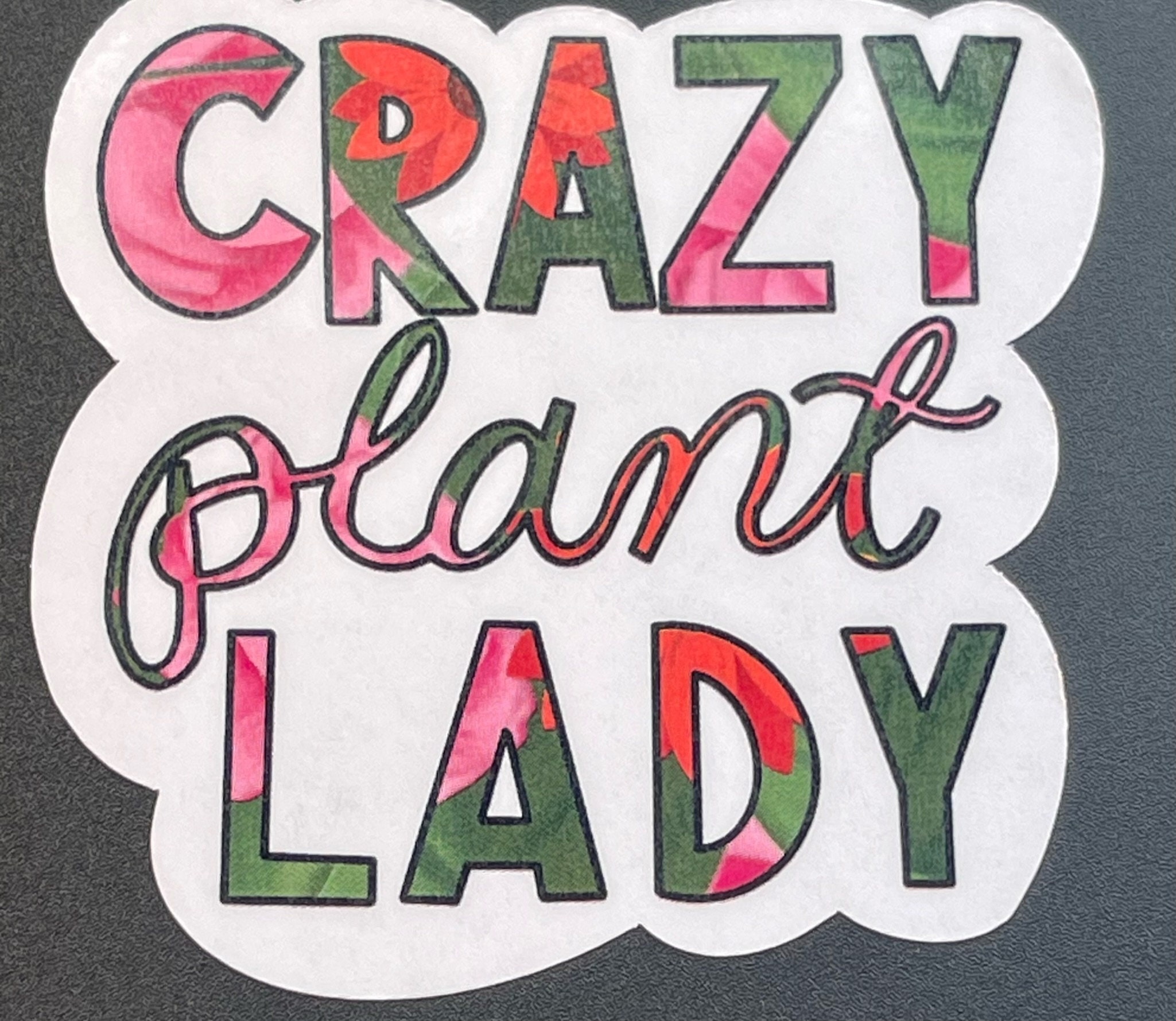 Plant Sticker Set, Crazy Plant Lady Gift, Cactus Sticker, Plant Person  Sticker, Monstera Sticker, Hand Drawn Stickers, Water Bottle Decal 