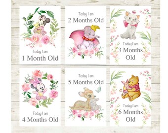 disney milestone cards