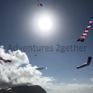 Kites Fly on the Pacific Coast