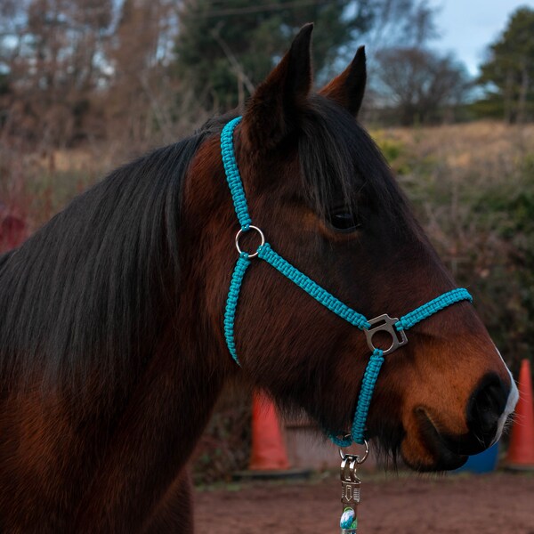 Paracord Halter Etsy