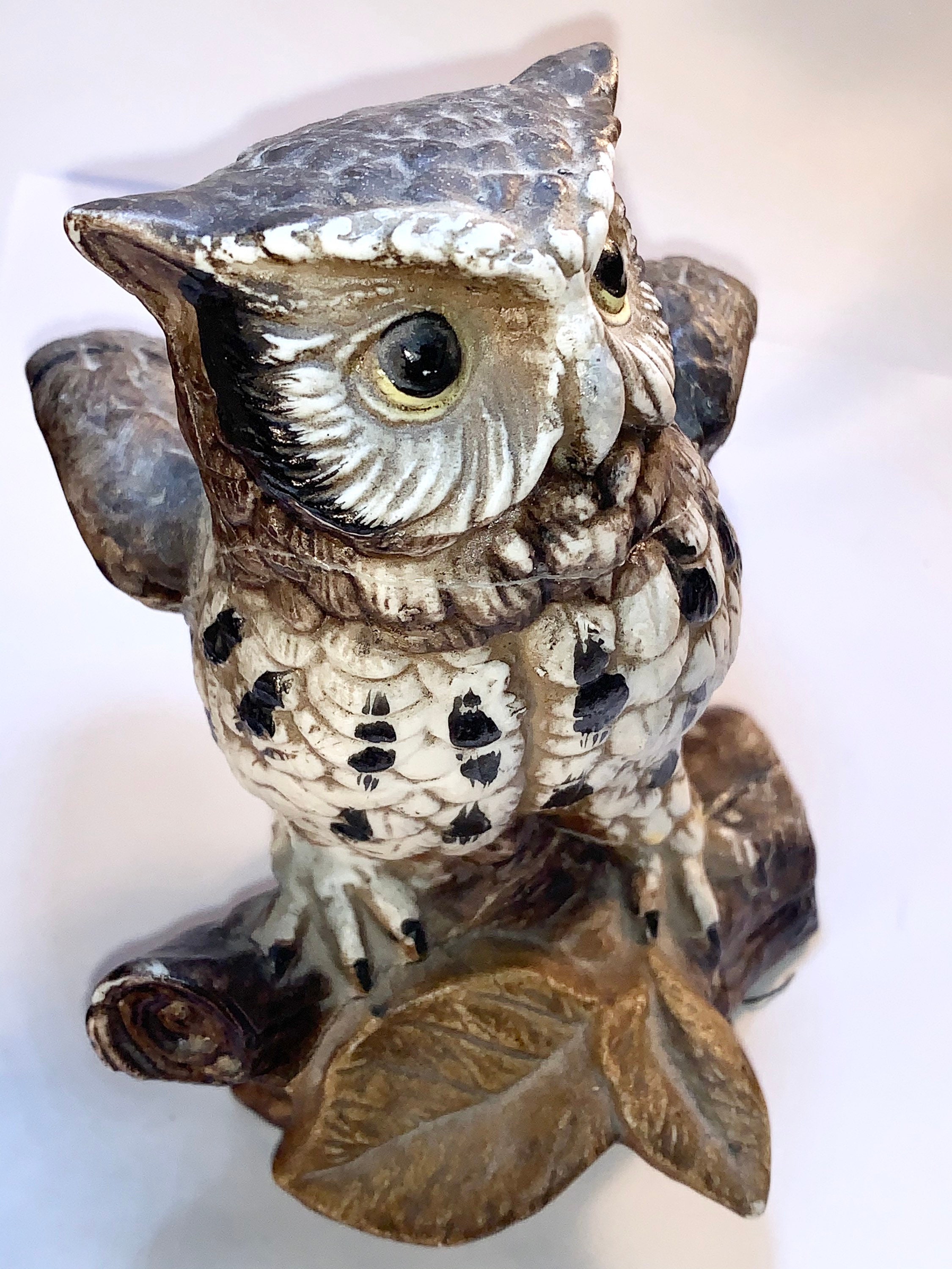 Cute wise old owl!