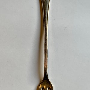 May include: A silver fork with a long handle and three prongs. The handle is inscribed with the words "The Roosevelt".