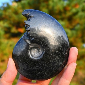 0.22kg Natural Ammonite carving snake Fossil Conch specimen of Madagascar Healing Decor，ammonite fossil，fossil rocks，crystal healing K111