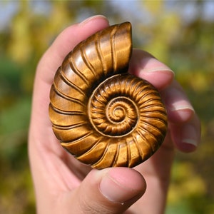 Hand Carved Tiger&#39;s Eye Ammonite Fossil: Crystal Healing Decor