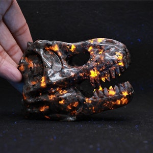 3.1'' Natural  Carved Yooperlite Tyrannosaurus Skull，Crystal Carved Dinosaur skull，Quartz crystal，Crystal healing skull 1PC