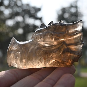 2.8&#39;&#39; Natural Hand carved Smoke quartz dragon skull，quartz crystal，Crystal gift，Crystal ornament, Crystal dragon skull，Healing stone 1PC