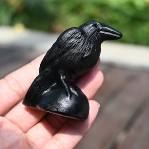 2.4&#39;&#39; Natural Hand Carved Obsidian Crow Skull, Crystal Crow, Quartz Crystal, Crystal Present, Crystal Ornament, Crystal Healing 1PCC