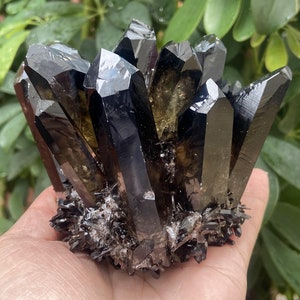 300G+ Smokey quartz Quartz Cluster/Christmas gift/Halloween gift/Smokey quartz VUG/Mineral Specimen Healing Degaussing