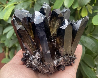 Smokey Quartz Cluster: 300g+ Mineral Specimen, Healing Crystal