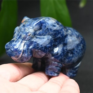 Teschio di ippopotamo in sodalite da 3,1&#39;&#39;, animale di cristallo, teschio naturale intagliato a mano, cristallo di quarzo, regalo per le feste, ornamento di cristallo, cristallo curativo 1 pezzo