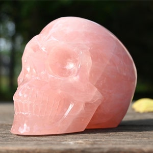 4&#39;&#39; Natural carved Rose quartz skull，Skull carved，Rose quartzcrystal，Crystal skull，Quartz crystal，Crystal skull，Reiki healing 1PC