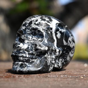 Hand Carved Shell Stone Skull: Crystal Healing Decor (2.6&#39;&#39;)