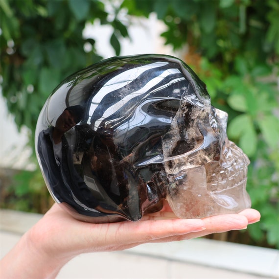 a-detailed-skull-with-earthy-